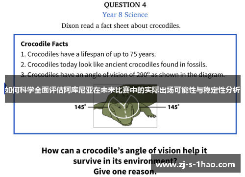 如何科学全面评估阿库尼亚在未来比赛中的实际出场可能性与稳定性分析