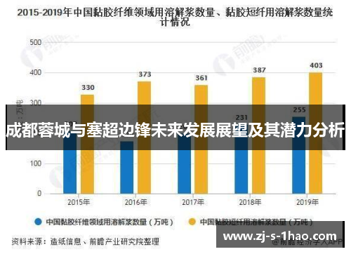成都蓉城与塞超边锋未来发展展望及其潜力分析 成都蓉城与塞超边锋未来发展展望及其潜力分析