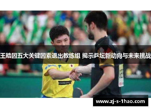 王皓因五大关键因素退出教练组 揭示乒坛新动向与未来挑战 王皓因五大关键因素退出教练组 揭示乒坛新动向与未来挑战
